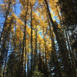 Meet your Posher, Rj